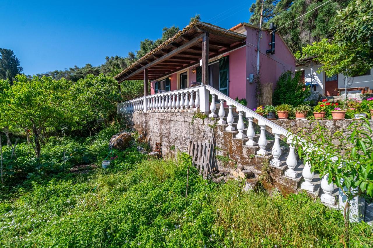 Tomazos Fay's House