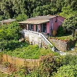 Tomazos Fay\'S House