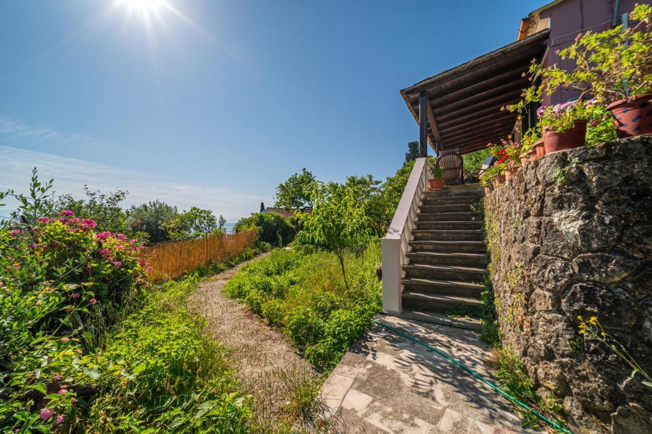 Tomazos Fay's House Holiday home